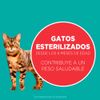 Alimento-para-Gatos-Esterilizados-Purina-One-Pollo-y-Salm-n-2kg-7-249468055