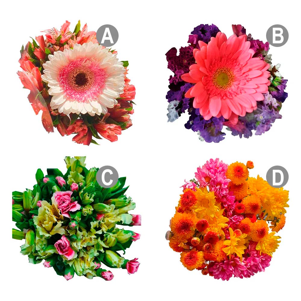 Ramo de Flores x un