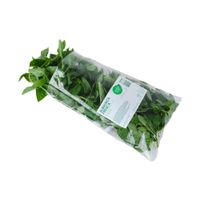 Albahaca Fresca Verde Puro 120g