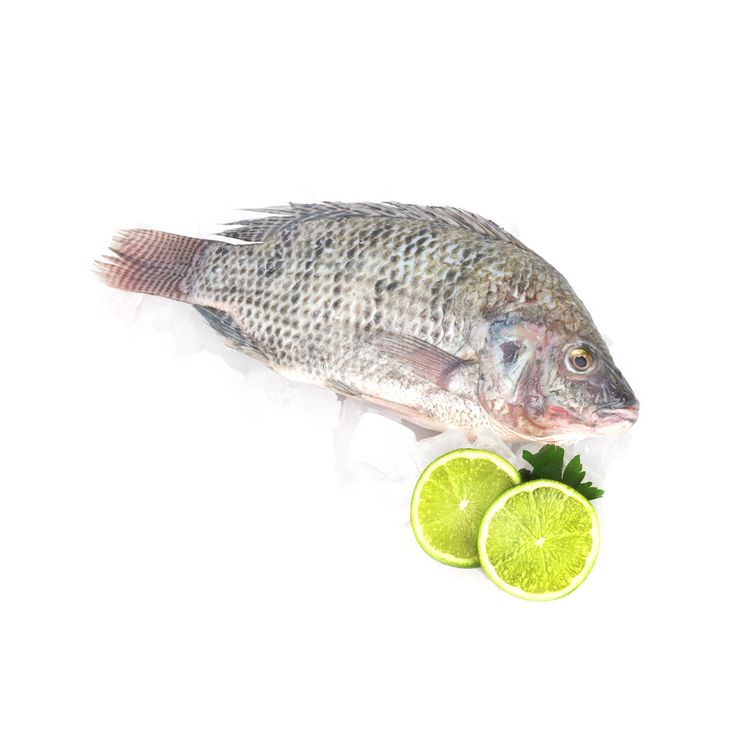 Tilapia-Entera-Eviscerada-x-kg-1-17191644