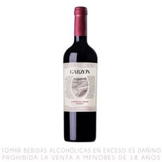 Vino-Tinto-Cabernet-Franc-Garz-n-Reserva-Botella-750ml-1-291889459