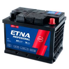 Etna-Bater-a-Profesional-para-Carro-W-13-PRO-75-Ah-1-175914