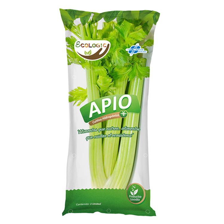 APIO-HIDRO-ECOLOG-X-UN-APIOHIDREC-XUN-1-223083628