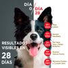 Purina-One-Adulto-y-Cachorro-Cordero-Carne-85g-2-261573481