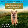 Purina-One-Adulto-y-Cachorro-Cordero-Carne-85g-6-261573481