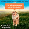 Purina-One-Adulto-y-Cachorro-Pollo-85g-6-261573482