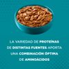 Purina-One-Gatos-Esterilizados-Carne-85g-5-261573484