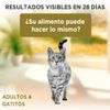 Purina-One-Gatos-Esterilizados-Carne-85g-6-261573484