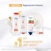 Tratamiento-Capilar-Factor-de-Nutrici-n-80-Dove-Pote-300-gr-3-126426558