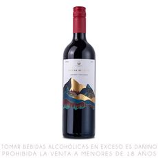 Vino-Tinto-Cabernet-Sauvignon-Tierra-Selecta-Botella-750ml-1-322145352