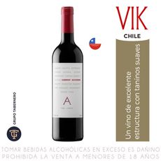 Vino-Tinto-Cabernet-Sauvignon-Vik-A-Botella-750ml-1-225482408