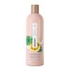 SHAMPOO-AMARAS-700-ML-REPARACION-1-345044451