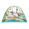 Gimnasio-Tiny-Love-Meadow-Days-Sunny-Day-1-351634162