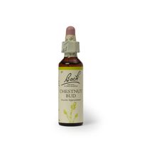 Flores de Bach Chestnut Bud 20ml