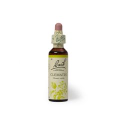 CLEMATIS-20ML-CONCENTRACI-N-1-351637863