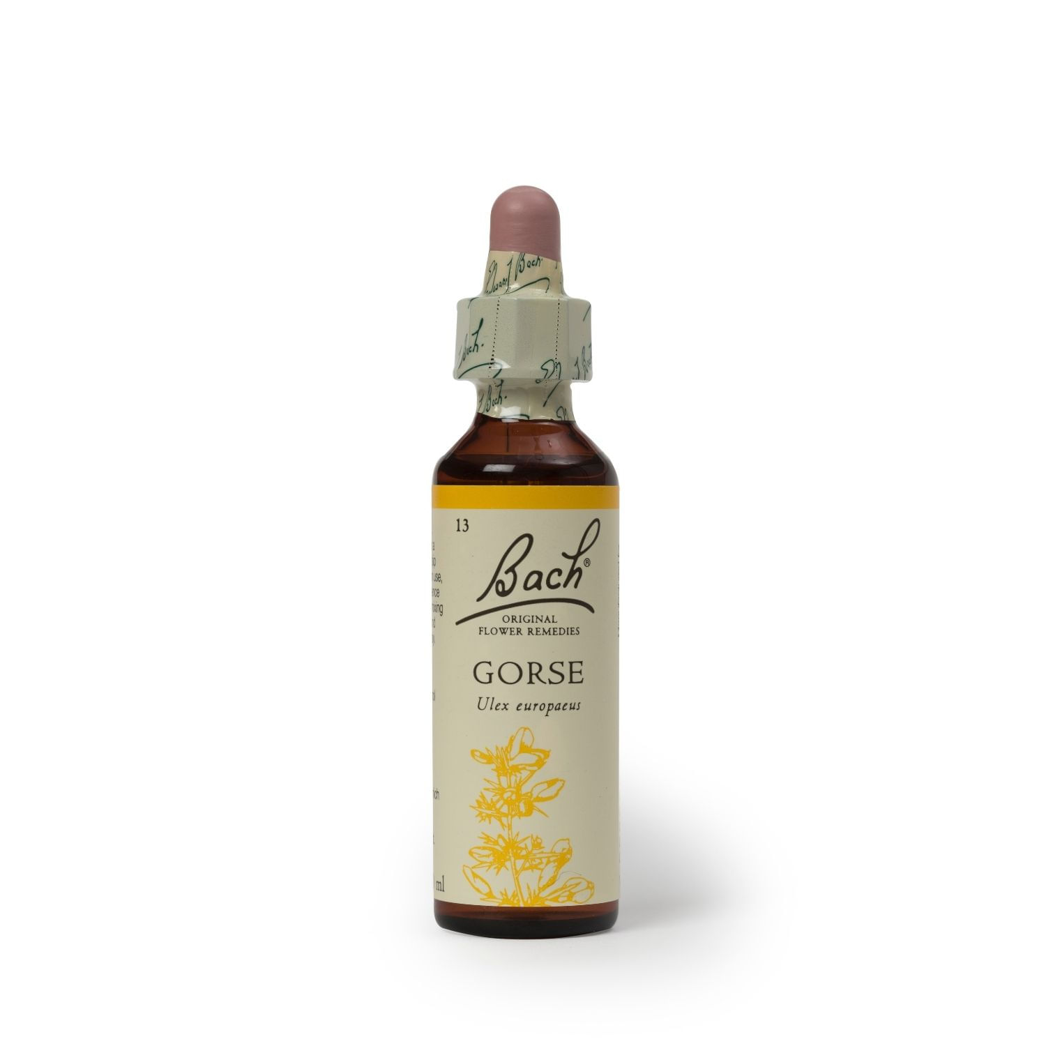 Flores de Bach Gorse - Esperanza 20ml