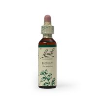 Flores de Bach Holly 20ml