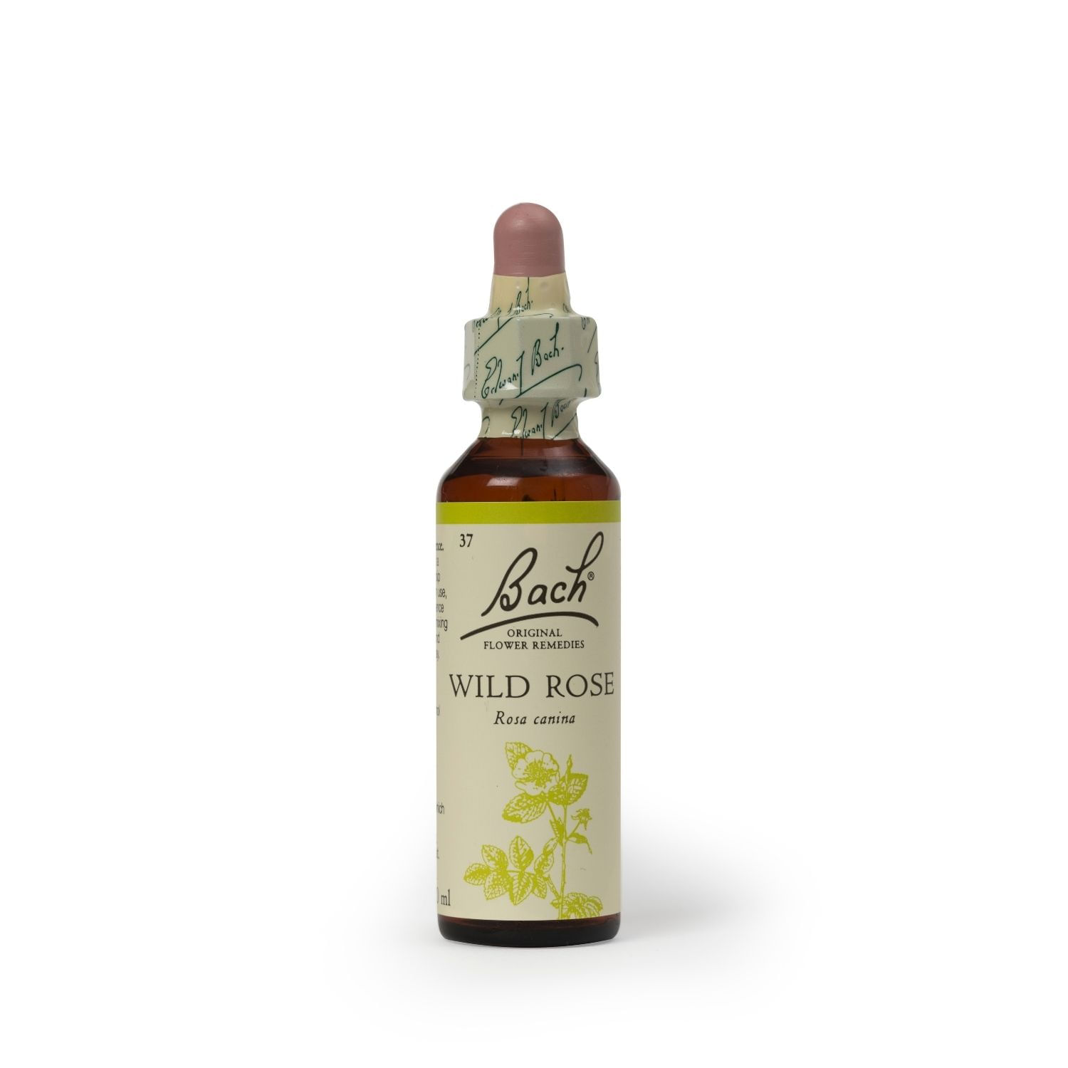 Flores de Bach Wild Rose 20ml