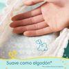 Pa-ales-Pampers-Pants-Premium-Care-G-64un-9-351636369