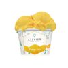 Helado-Vegano-Atelier-Mango-Coco-85g-1-351642591