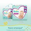 PACK-X2-PA-AL-PAMPERS-PMC-HIPERPACK-GX54-2-351644795