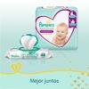 PACK-X2-PA-AL-PAMPERS-PMC-HIPERPACK-GX54-4-351644795