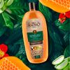 Shampoo-Tio-Nacho-Herbolaria-950ml-3-351646663