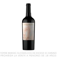 Vino-Tinto-Malbec-Ruca-Malen-Cap-tulo-Uno-Botella-750ml-1-351648236