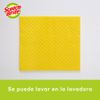 Pa-o-Scotch-Brite-S-per-Absorbente-4un-5-4299