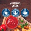 Ketchup-Hellmann-s-500g-3-351650263