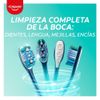 Cepillo-Dental-Medio-360-Limpieza-Completa-Pack-2-unid-2-86882