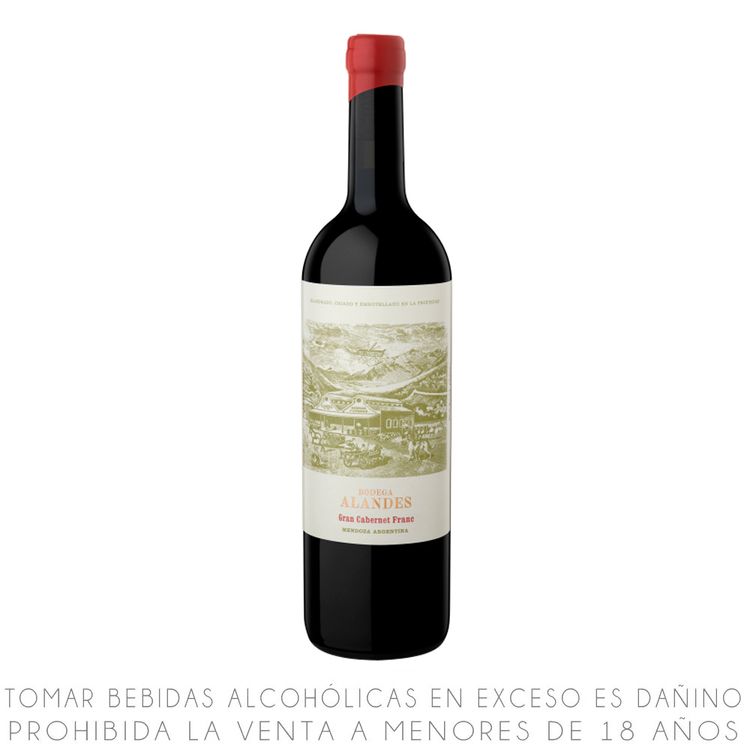 Vino-Tinto-Cabernet-Franc-Alandes-Gran-Cabernet-Franc-Botella-750ml-1-351656185