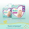 Twopack-Pa-ales-para-Beb-Pampers-Premium-Care-Talla-M-86un-2-351644802