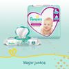 Twopack-Pa-ales-para-Beb-Pampers-Premium-Care-Talla-M-86un-4-351644802