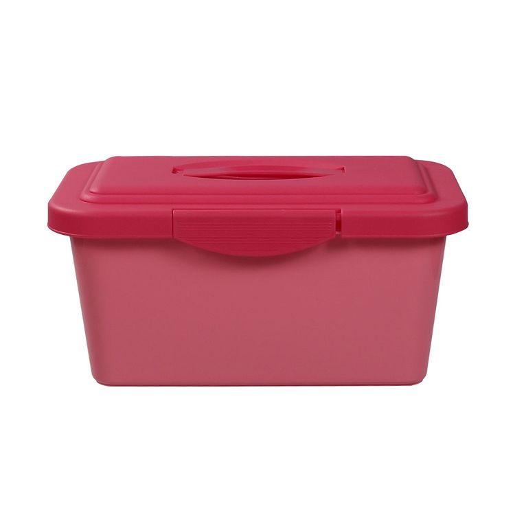 CAJA-ORG-6L-COLOR-SOLIDO-BICOLOR-1-351641202