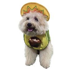 Disfraz-para-Mascota-Party-Dog-Palta-1-351642623