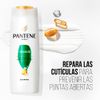 Pack-Pantene-Pro-V-Reparaci-n-Shampoo-Acondicionador-Mascarilla-2-351644797