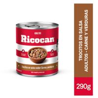 Trocitos en Salsa Carne Verduras Ricocan
