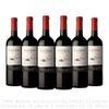 Sixpack-Vino-Tinto-Malbec-Catena-Botella-750ml-1-351642338