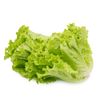 Lechuga-Crespa-Cuisine-Co-2-283394707