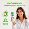 Jab-n-ntimo-Nosotras-Herbal-V-Camelia-y-Aloe-Vera-200ml-2-65034442