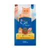 Alimento-ara-Gatos-Cat-Chow-Esteriliza-500g-1-351664447