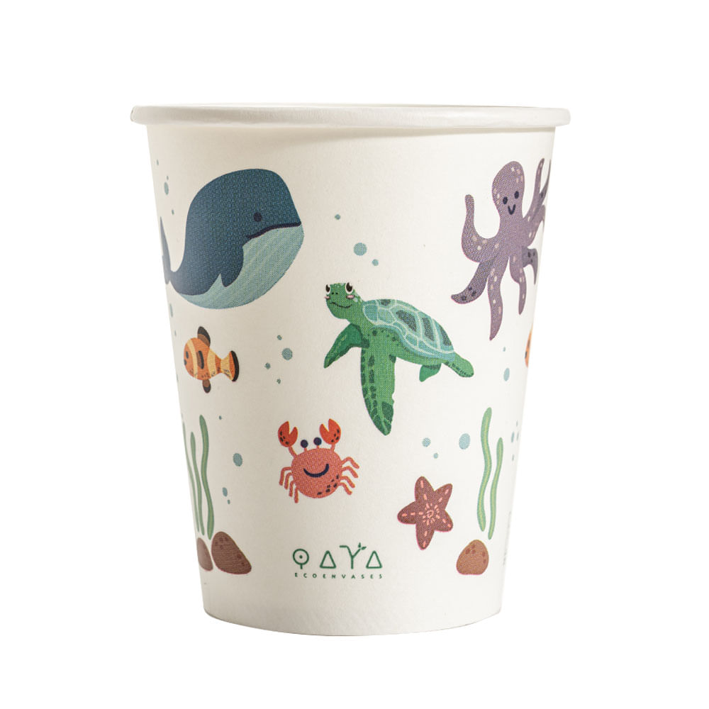 Vaso Qaya Kids