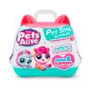 Tienda-de-mascota-Sorpresa-Pets-Alive-6-351667103