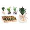 PLANTA-ARTIFICIAL-EN-VIDRIO-10CM-1-351658451