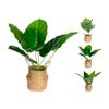 PLANTA-EN-MACETA-46CM-3ASS-1-351658461