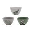 Bowl-Krea-Hojas-1-351652529