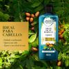 Shampoo-Herbal-Essences-Repair-Argan-Oil-of-Morocco-Frasco-400-ml-3-8723139
