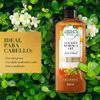 Shampoo-Herbal-Essences-Golden-Moringa-Oil-400ml-3-8723140