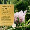 Acondicionador-Herbal-Essences-Moisture-Rosemary-Herbs-Frasco-400-ml-4-8723147